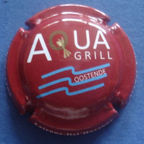 LEJEUNE DEL'HOZANNE Aqua grill n°59e